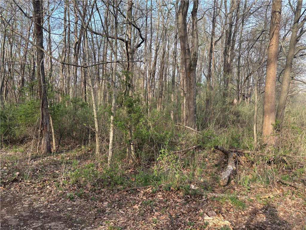 Applegate Road Bridgeport, IL 62417 - Photo 4 of 17
