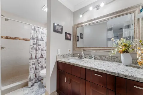 a bathroom with a granite countertop sink a potted plant and a shower