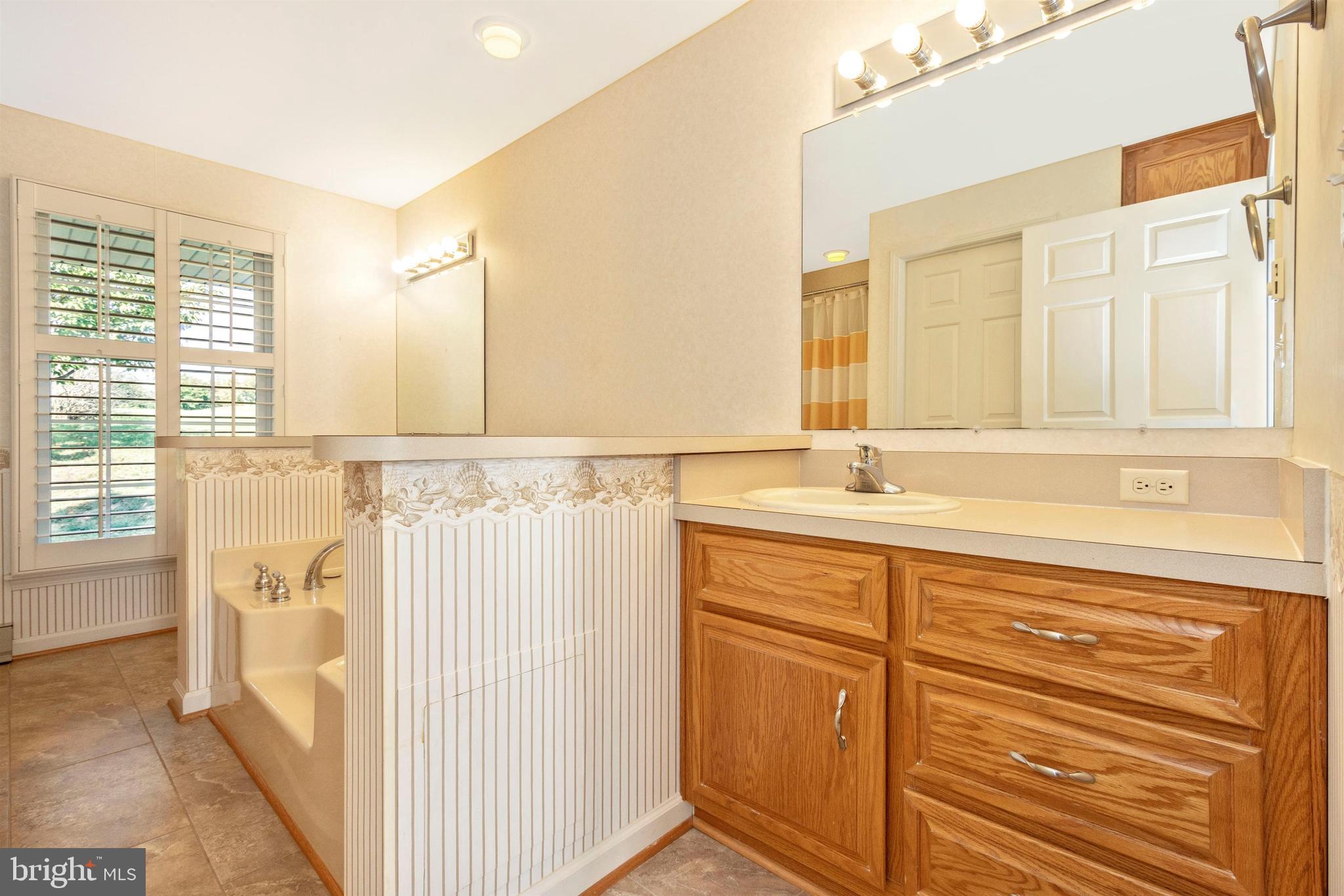 13409 Rabbit Run Terrace Union Bridge, MD 21791 - Photo 20 of 50 Owner's Bathroom