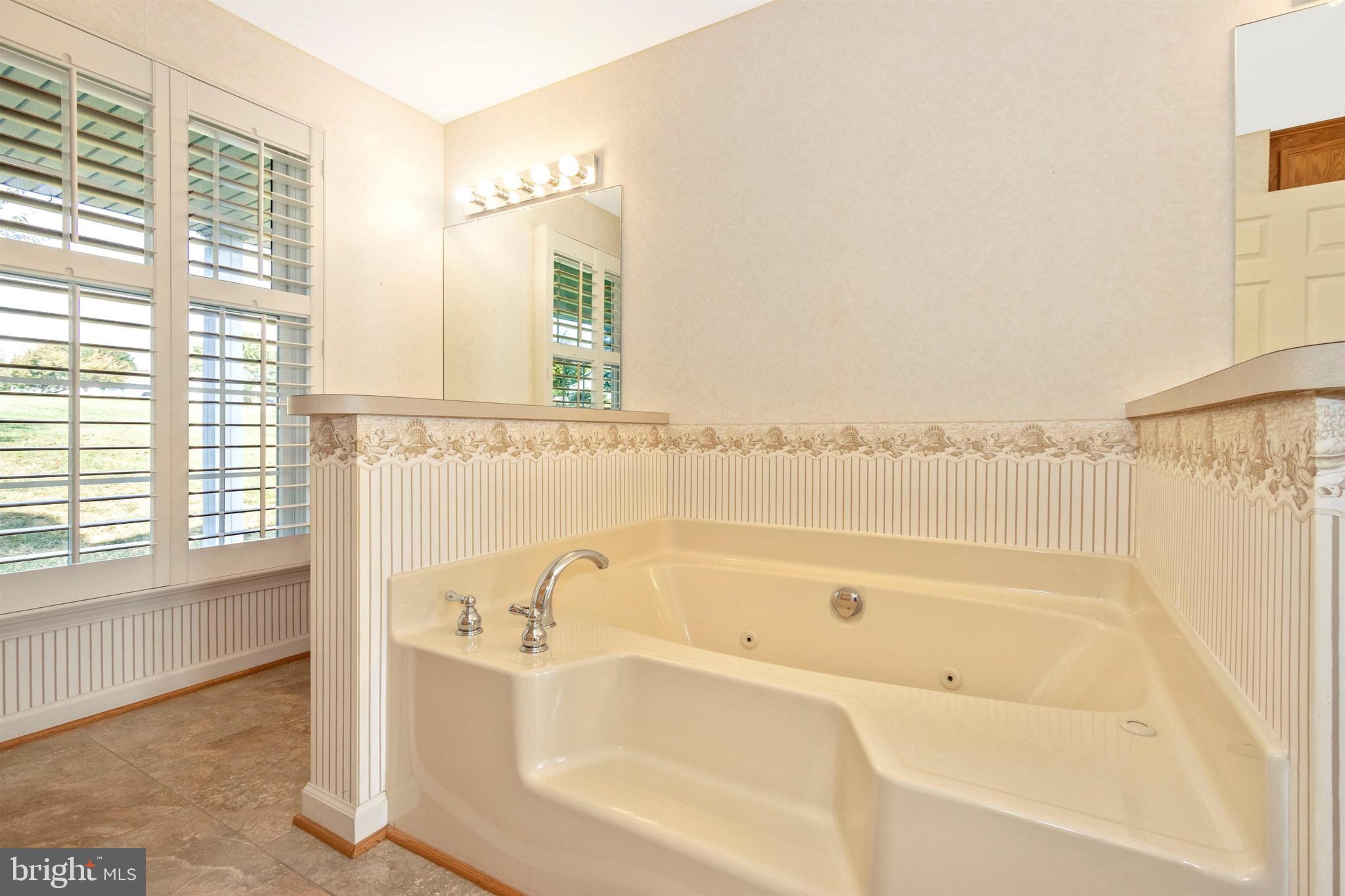 13409 Rabbit Run Terrace Union Bridge, MD 21791 - Photo 22 of 50 Owner's Bathroom - Jetted tub