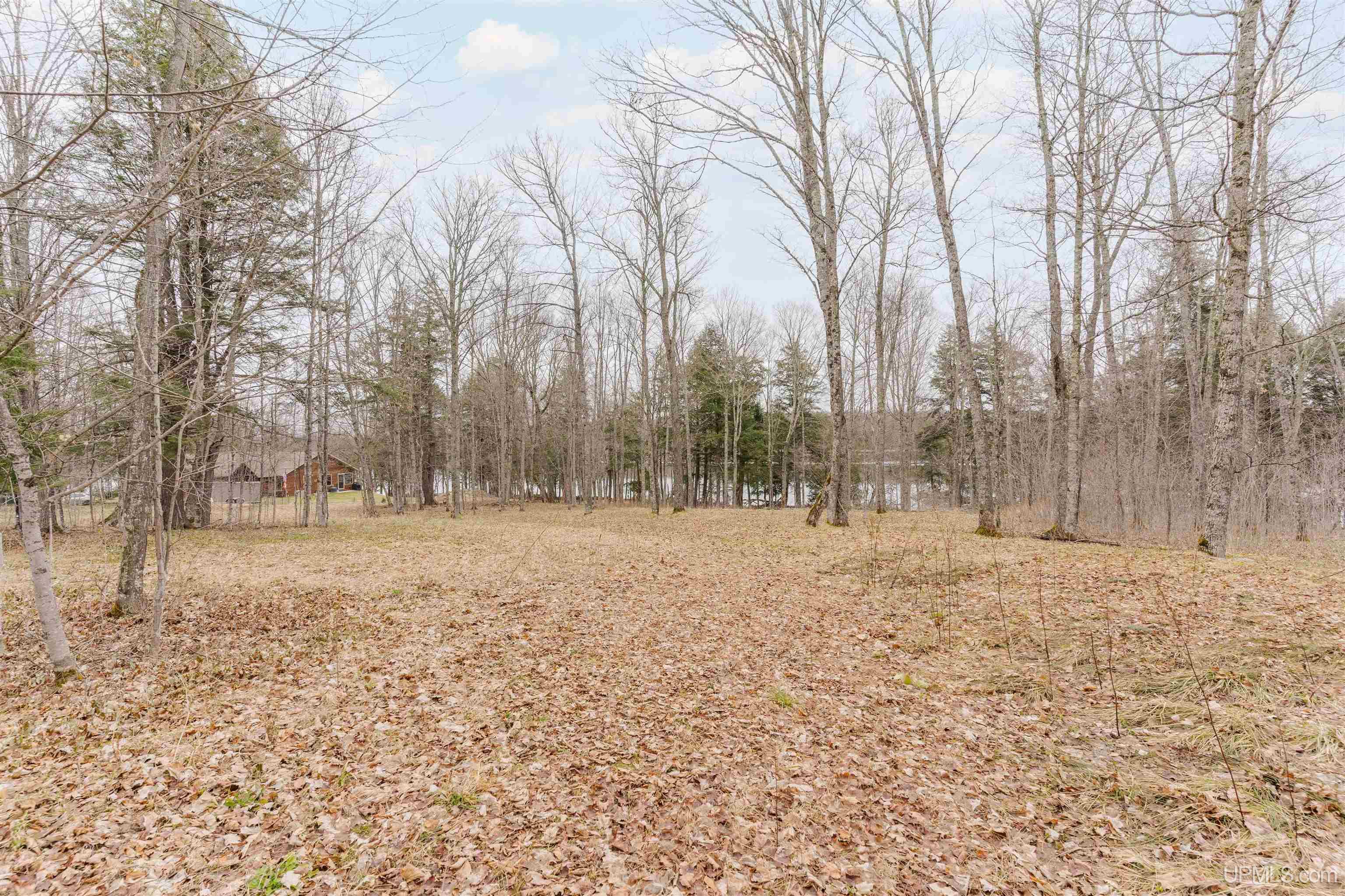Tbd University Road, Unit LOT 13 Iron River, MI 49935 - Photo 21 of 28