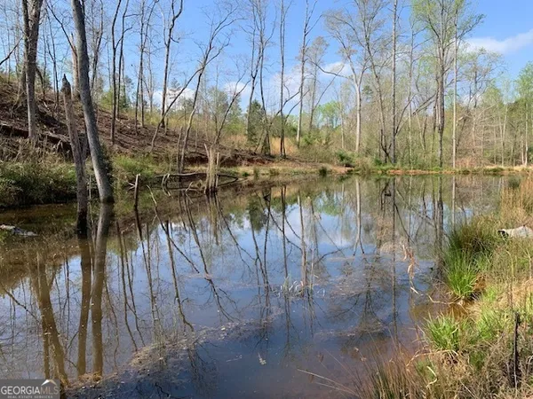 $2,950,000 | 1211 Veterans Drive, Danielsville, GA 30633
