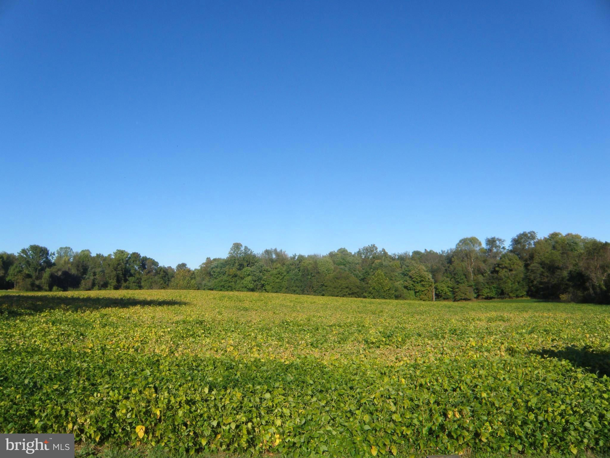 3855 Wayson Road Davidsonville, MD 21035 - Photo 26 of 27 Scenic Views Abound! One of a Kind Setting!