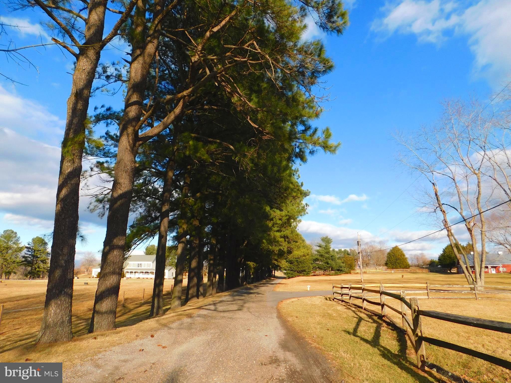 3855 Wayson Road Davidsonville, MD 21035 - Photo 27 of 27 This Could Be Your Tree-Lined Drive Home!