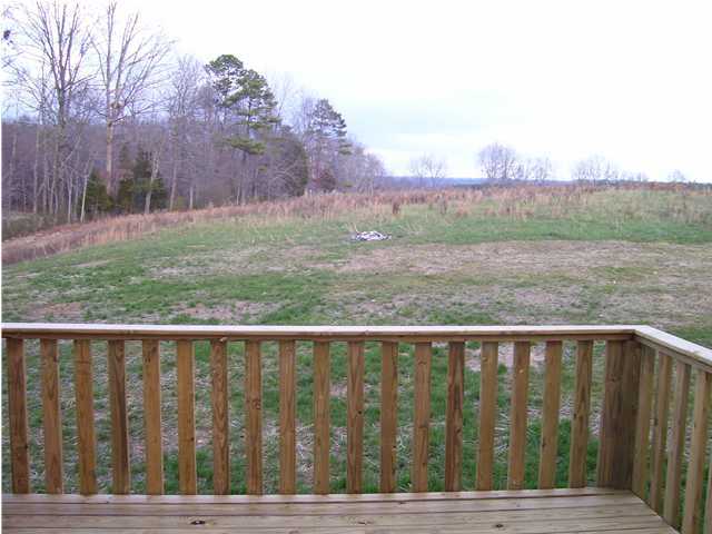 290 East Teems Road Ringgold, GA 30736 - Photo 5 of 5 Additional Photo