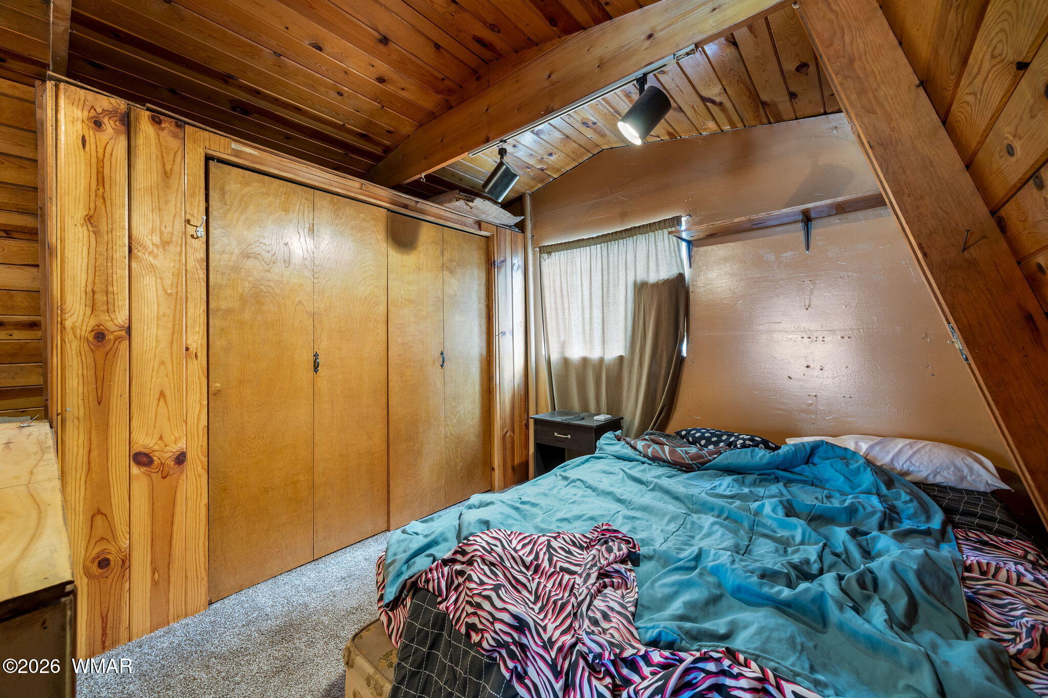2861 Angel Trail Overgaard, AZ 85933 - Photo 13 of 28