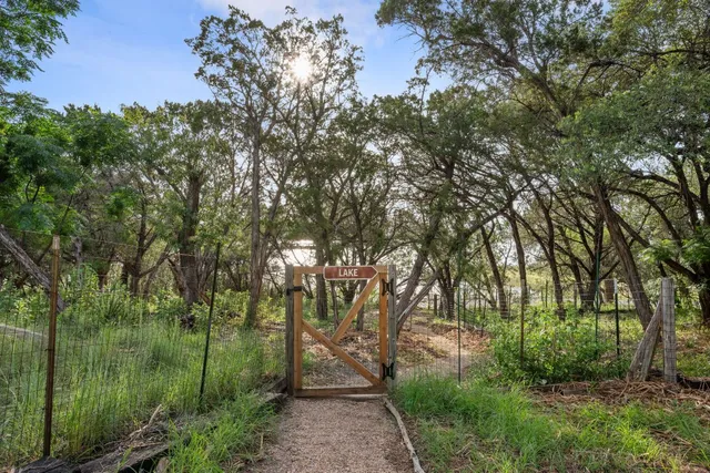 a view of a lush green forest