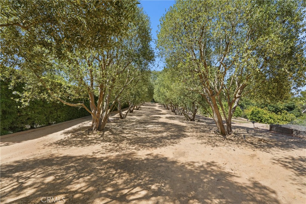 18 Crest Road East Rolling Hills, CA 90274 - Photo 14 of 75