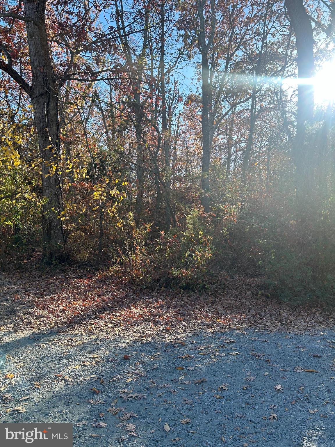 4748 Chestnut Road Shady Side, MD 20764 - Photo 3 of 14 Corner Lot