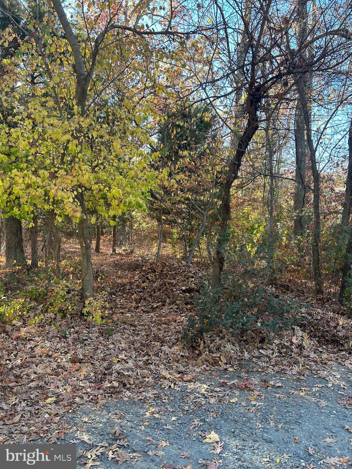 4748 Chestnut Road Shady Side, MD 20764 - Photo 4 of 14 Corner Lot