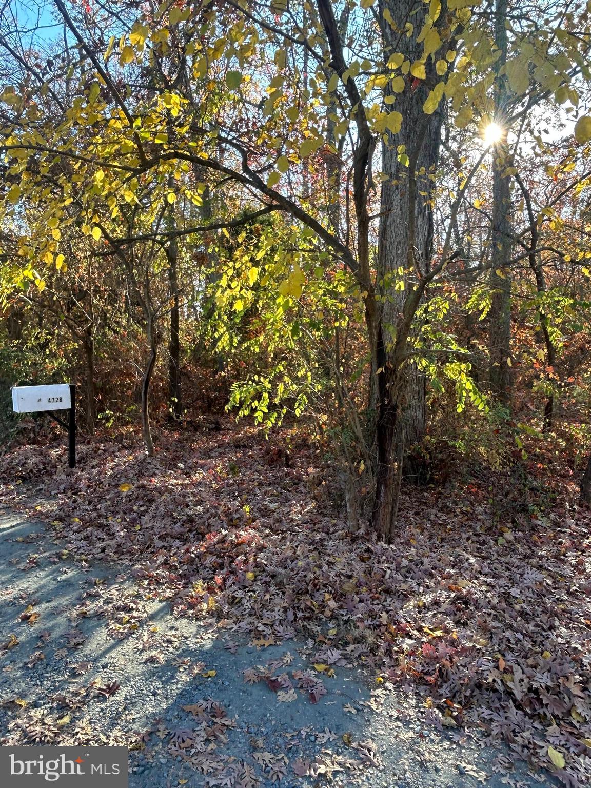 4748 Chestnut Road Shady Side, MD 20764 - Photo 6 of 14 Corner Lot