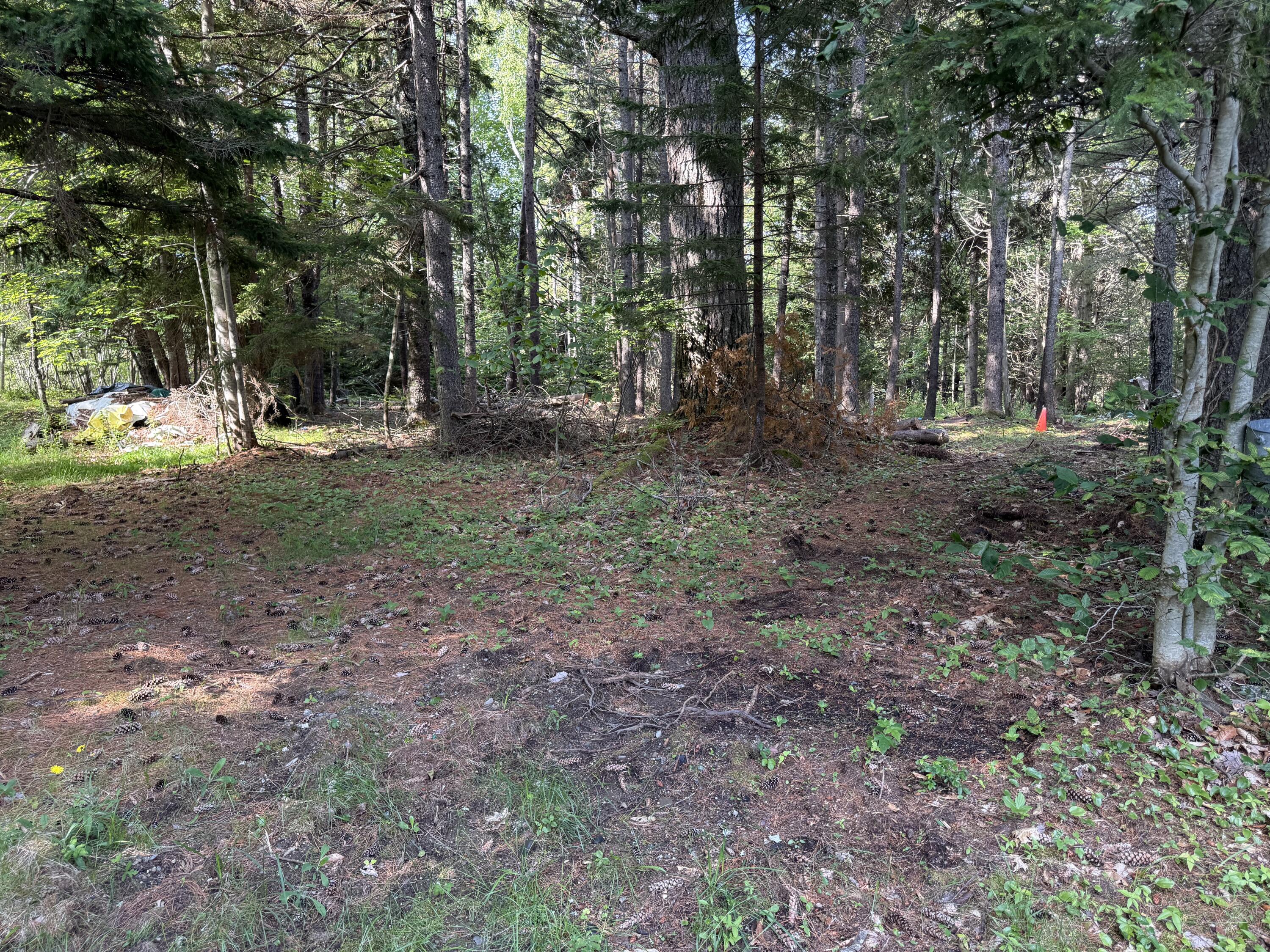 364 Goose Cove Road Trenton, ME 04605 - Photo 14 of 16 IMG_2354