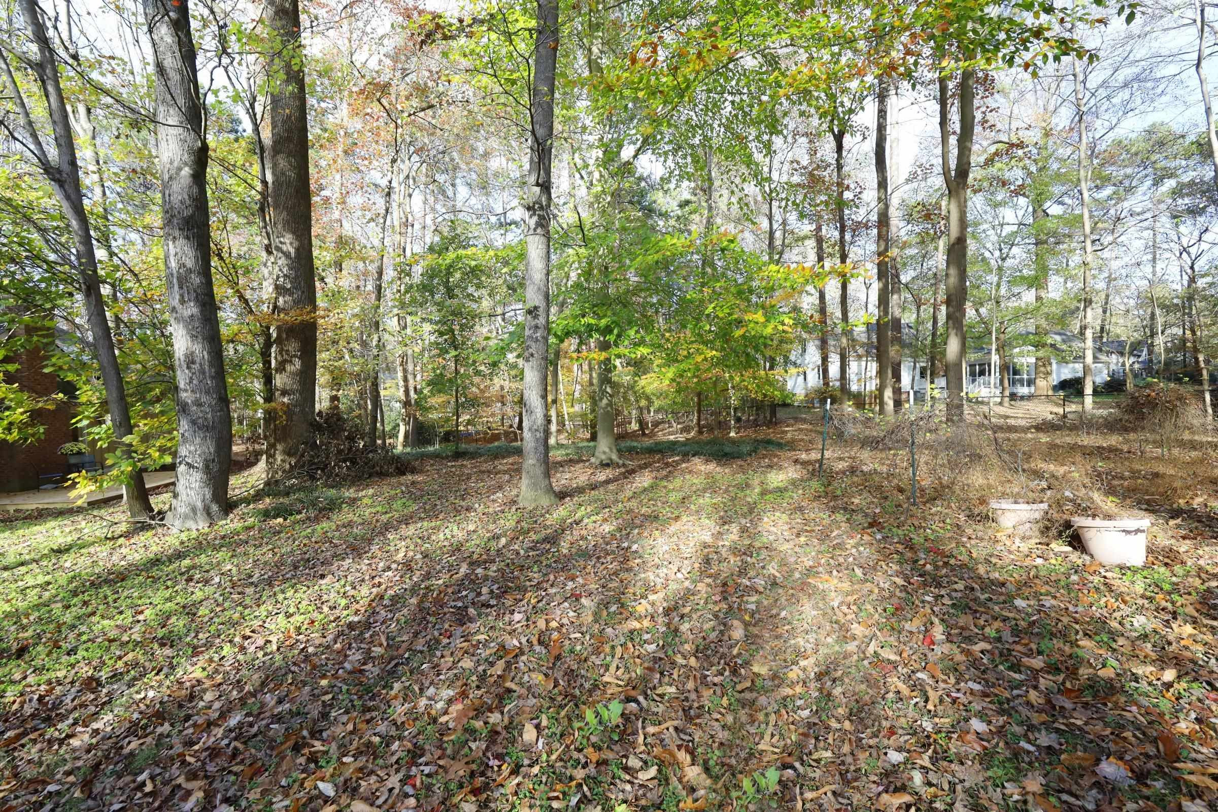 10904 Brass Kettle Road Raleigh, NC 27614 - Photo 38 of 41 Photo 43