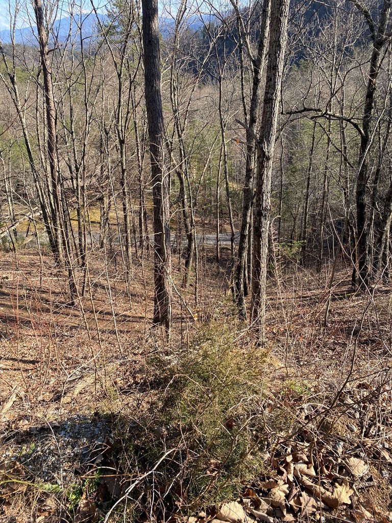 0 Rising Fawn Way Sevierville, TN 37862 - Photo 3 of 4