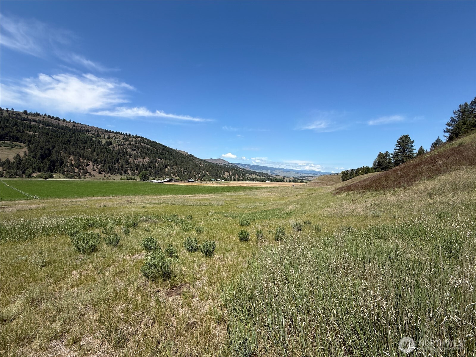 0 Art Creek Road Malo, WA 99150 - Photo 2 of 13 a view of a field with an ocean