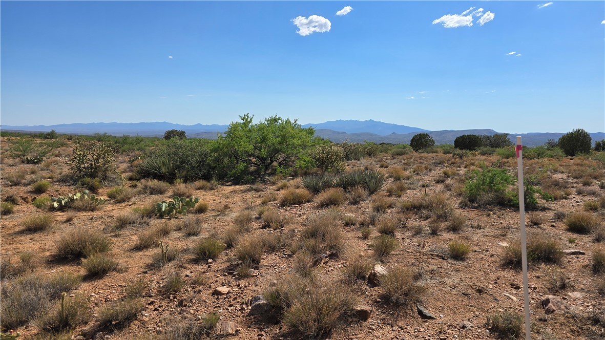 353-36-158 North Tyree Road Hackberry, AZ 86411 - Photo 5 of 19