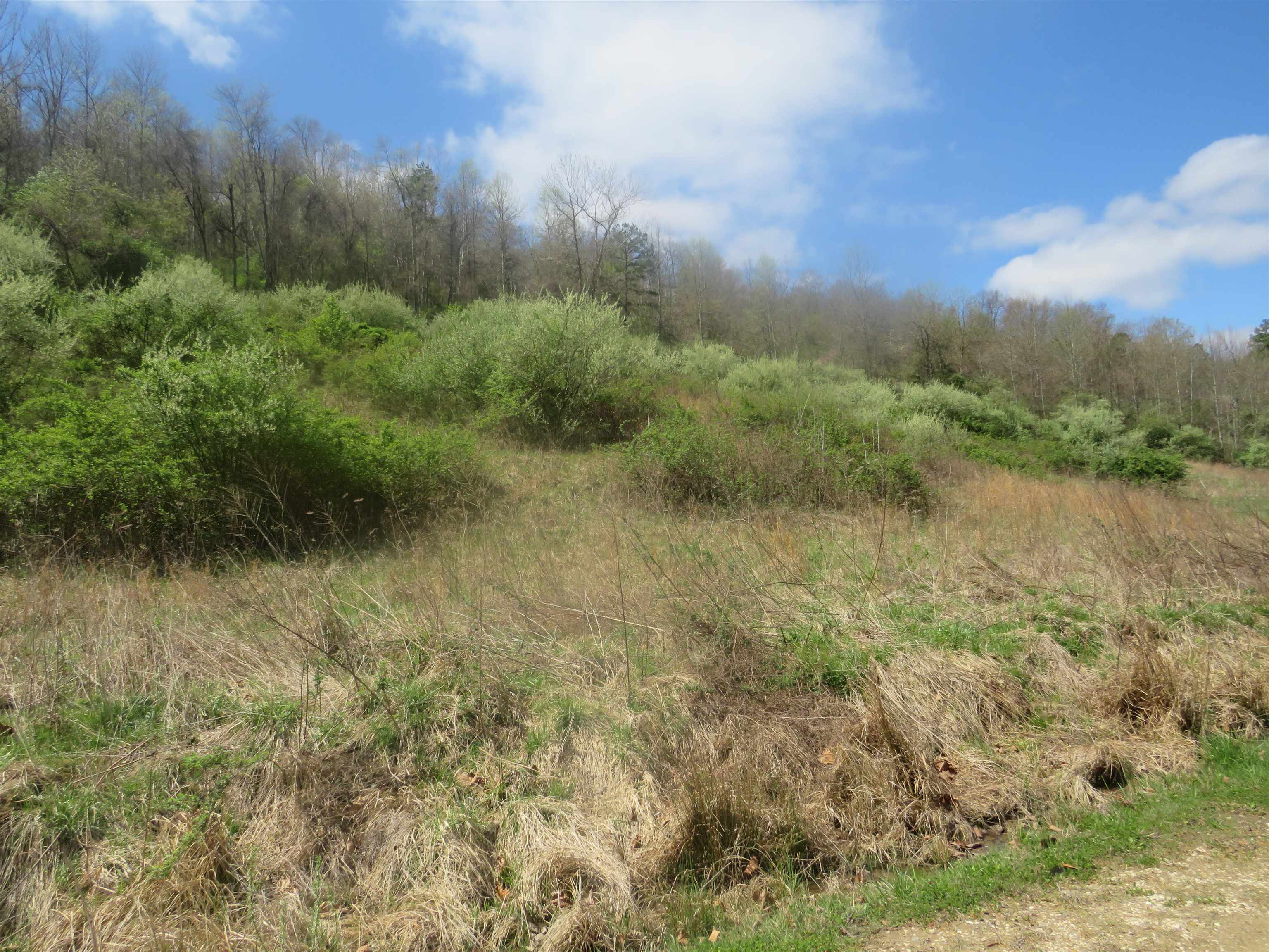 60 Us Grayson, KY 41164 - Photo 8 of 12