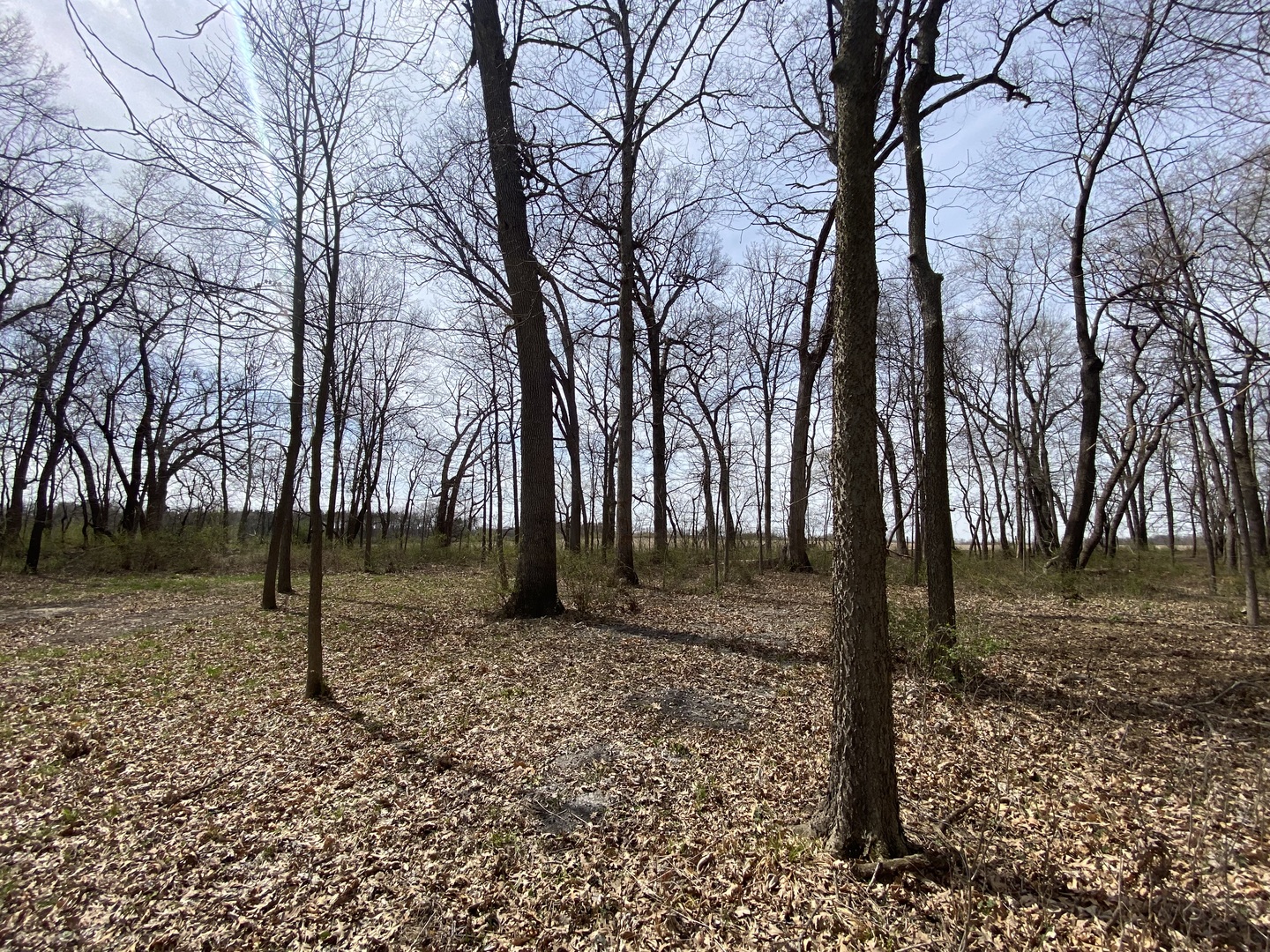 Lot 4 South Knoll Road Rochelle, IL 61068 - Photo 5 of 11 Gallery Image 5