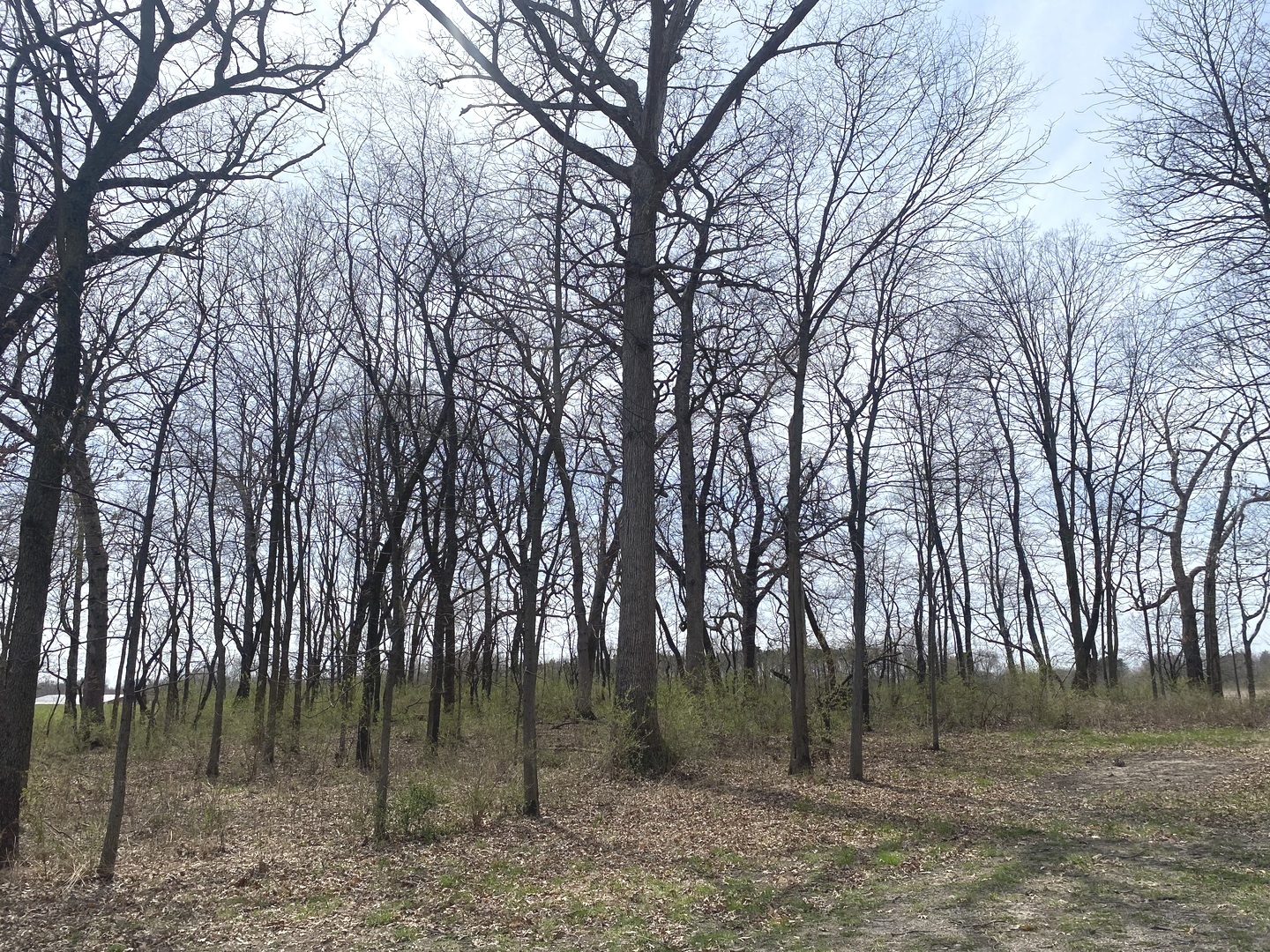 Lot 4 South Knoll Road Rochelle, IL 61068 - Photo 7 of 11 Gallery Image 7