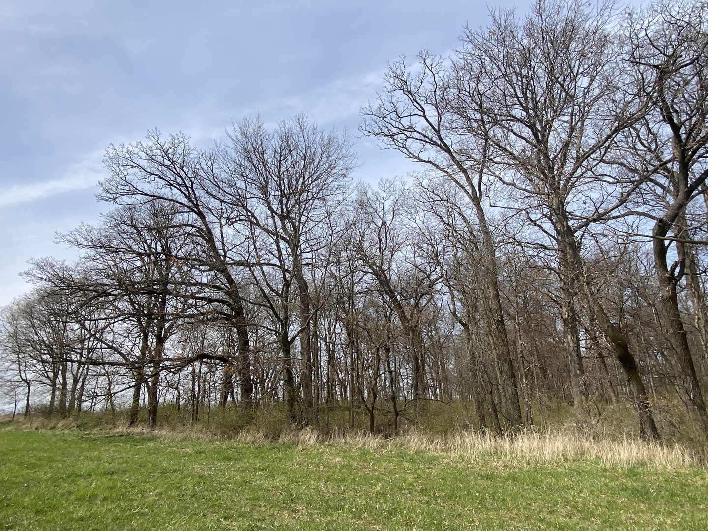 Lot 4 South Knoll Road Rochelle, IL 61068 - Photo 9 of 11 Gallery Image 9
