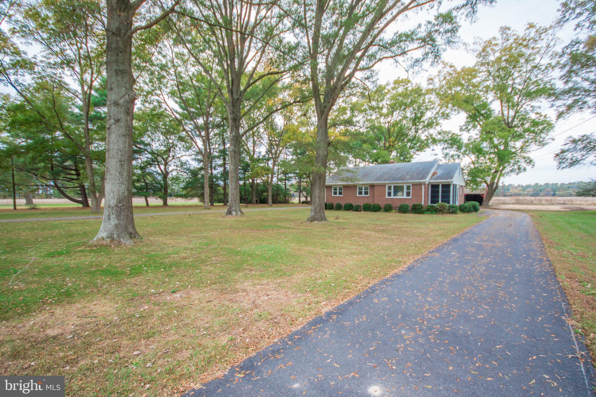 28280 Nanticoke Road Salisbury, MD 21801 - Photo 4 of 37 Front yard