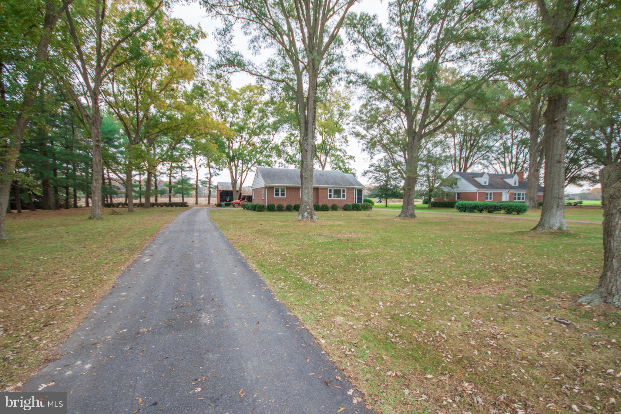 28280 Nanticoke Road Salisbury, MD 21801 - Photo 5 of 37 Front yard