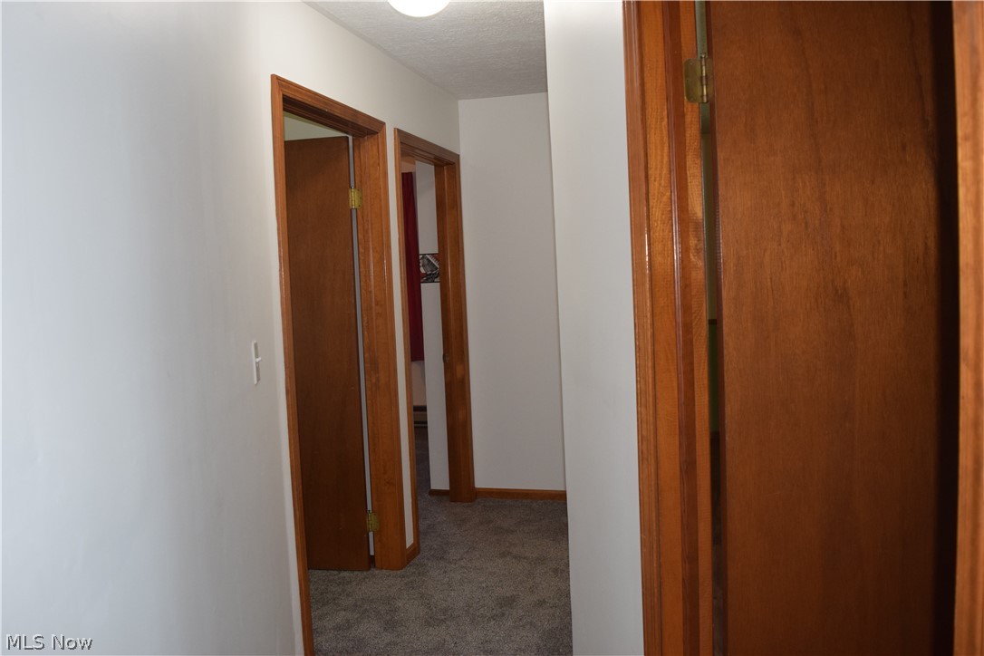 5040 2nd Street Northwest Canton, OH 44708 - Photo 13 of 45 New carpet