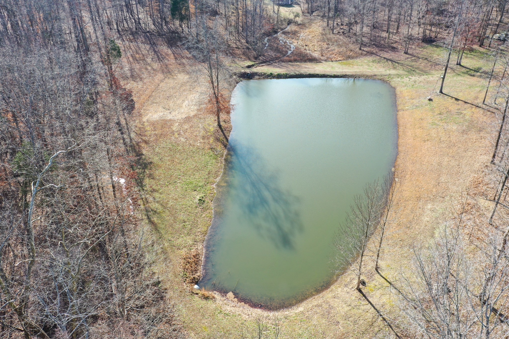 1292 Smiley Troutt Road Bethpage, TN 37022 - Photo 5 of 49 Gallery Image 5