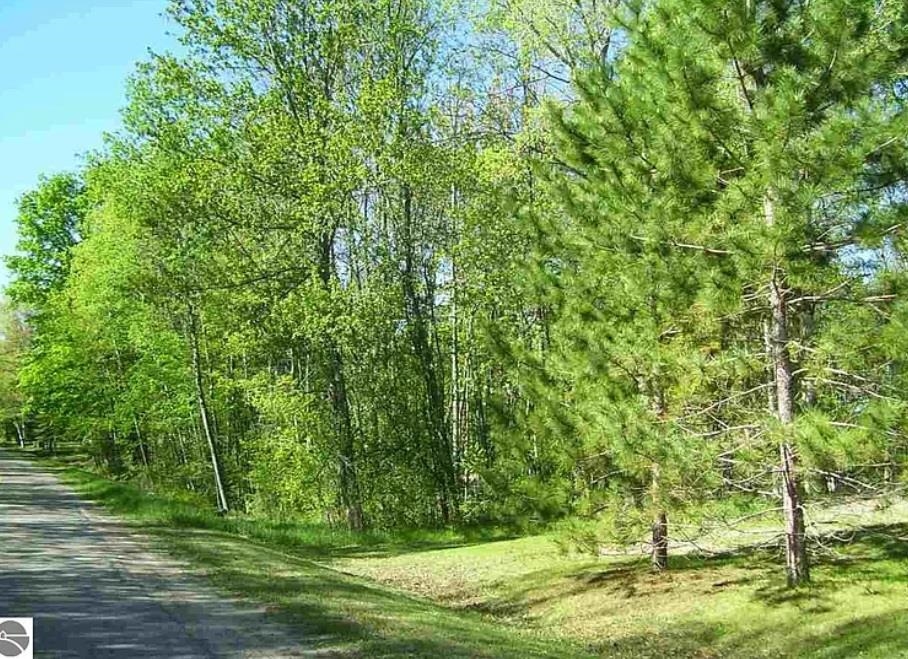 0 East Side Drive Lupton, MI 48635 - Photo 2 of 5