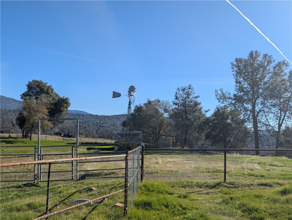 4103 Triangle Road Mariposa, CA 95338 - Photo 13 of 39 a view of a garden