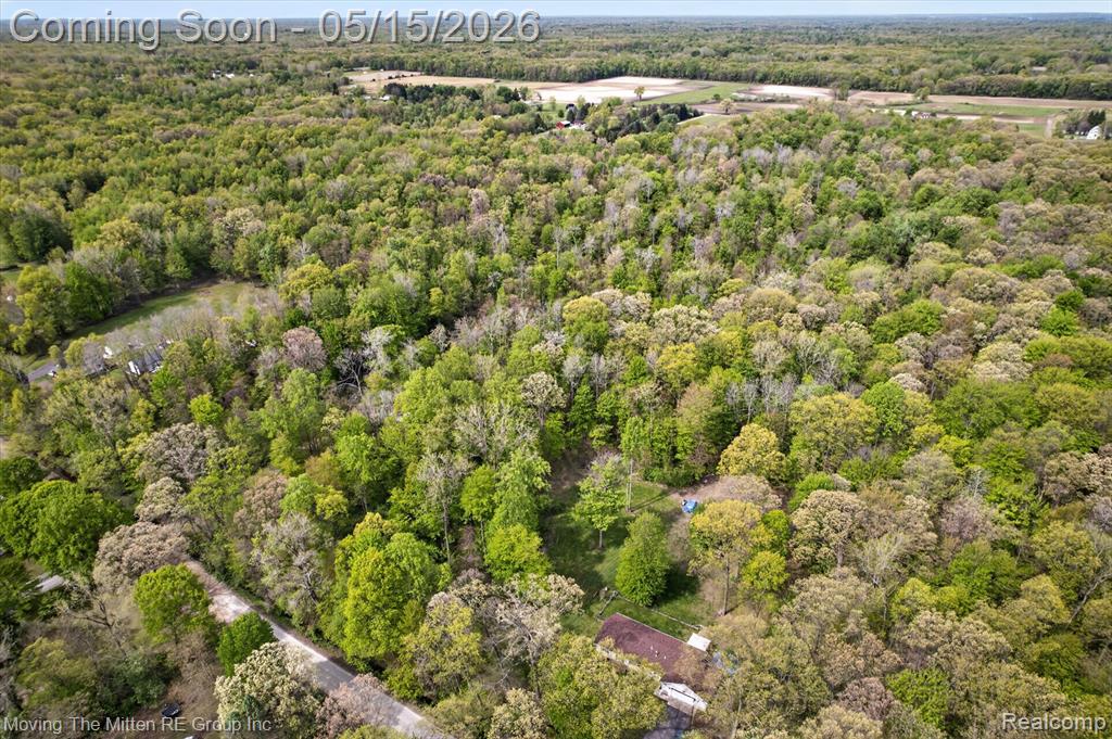 22530 Bohn Road Belleville, MI 48111 - Photo 12 of 28