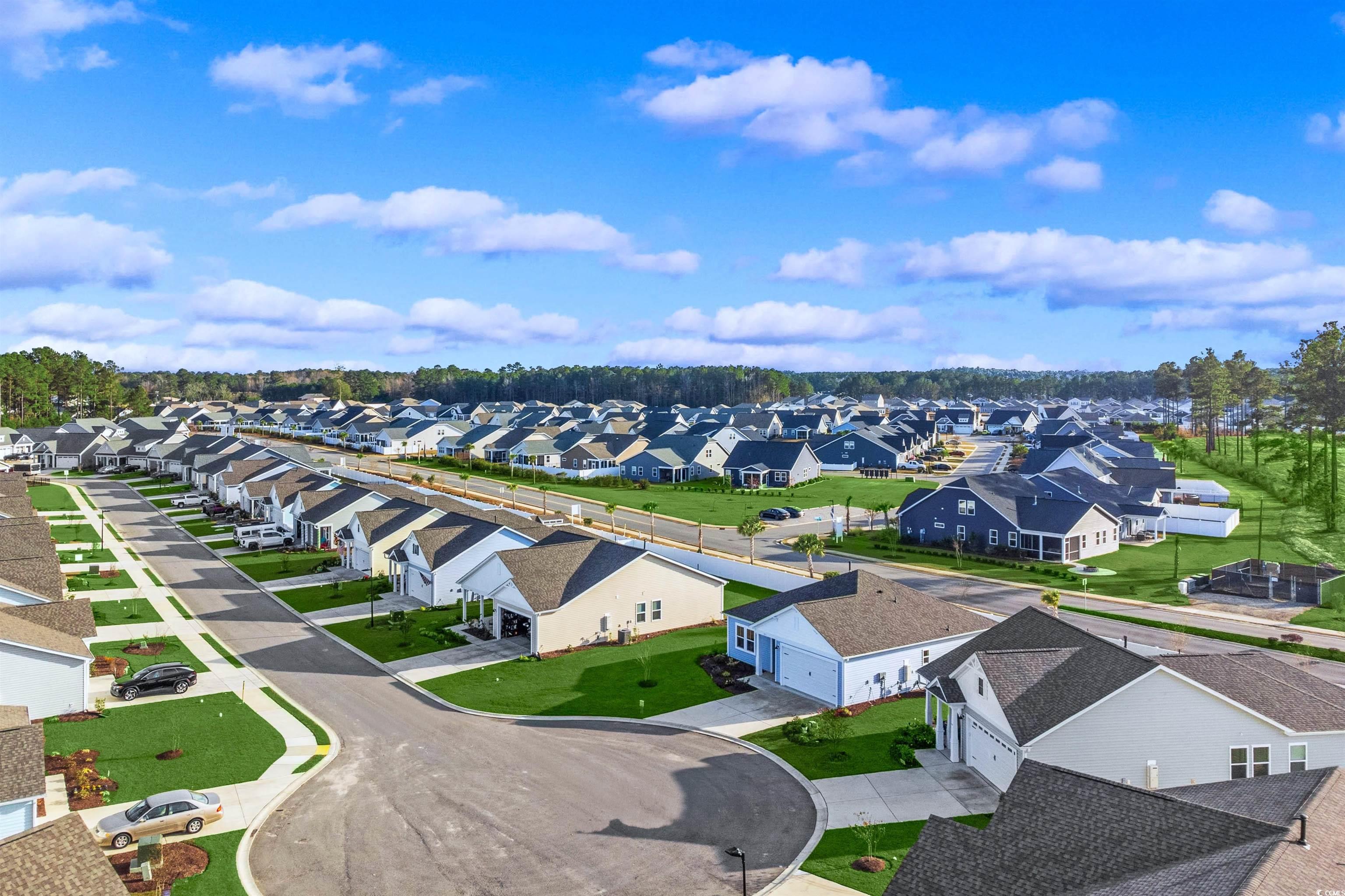 3051 Deerberry Place Longs, SC 29568 - Photo 6 of 28