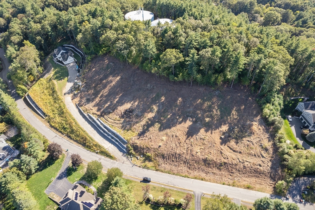45 Widow Rites Lane Sudbury, MA 01776 - Photo 8 of 25 a view of a yard with a tree
