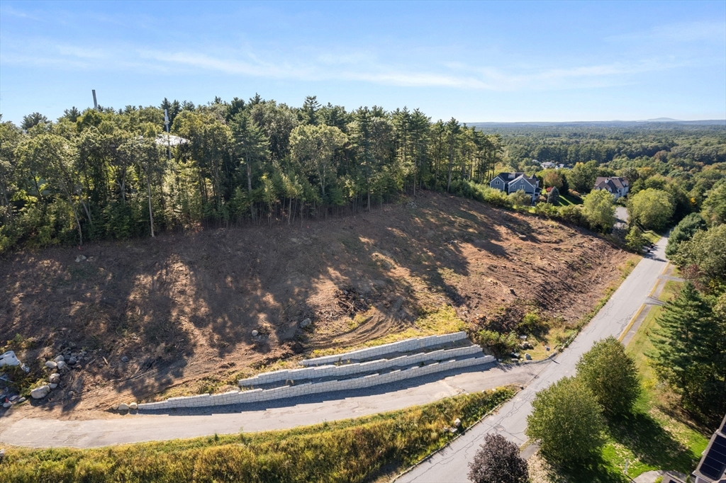 45 Widow Rites Lane Sudbury, MA 01776 - Photo 9 of 25 a view of a yard with an outdoor space