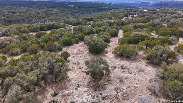 a view of a yard with a plants and tree