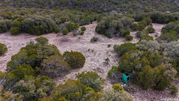 a view of a plants with large trees