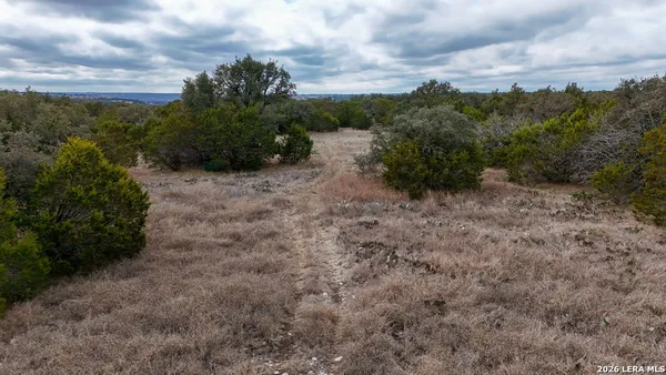 a view of a yard with plants and a bench