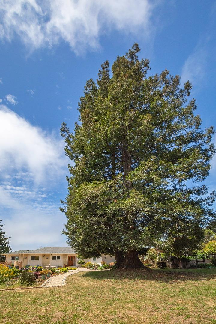 36 Robak Drive Watsonville, CA 95076 - Photo 32 of 39 a view of ocean view