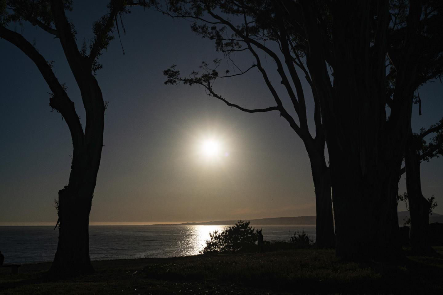 36 Robak Drive Watsonville, CA 95076 - Photo 38 of 39 a view of balcony and yard