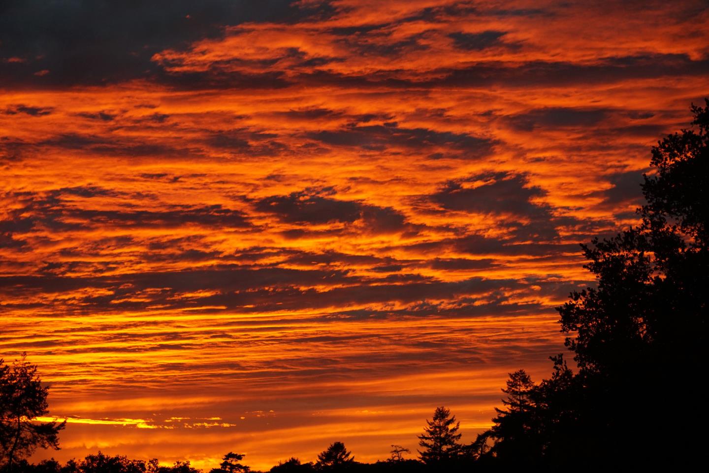 36 Robak Drive Watsonville, CA 95076 - Photo 39 of 39 a view of an ocean