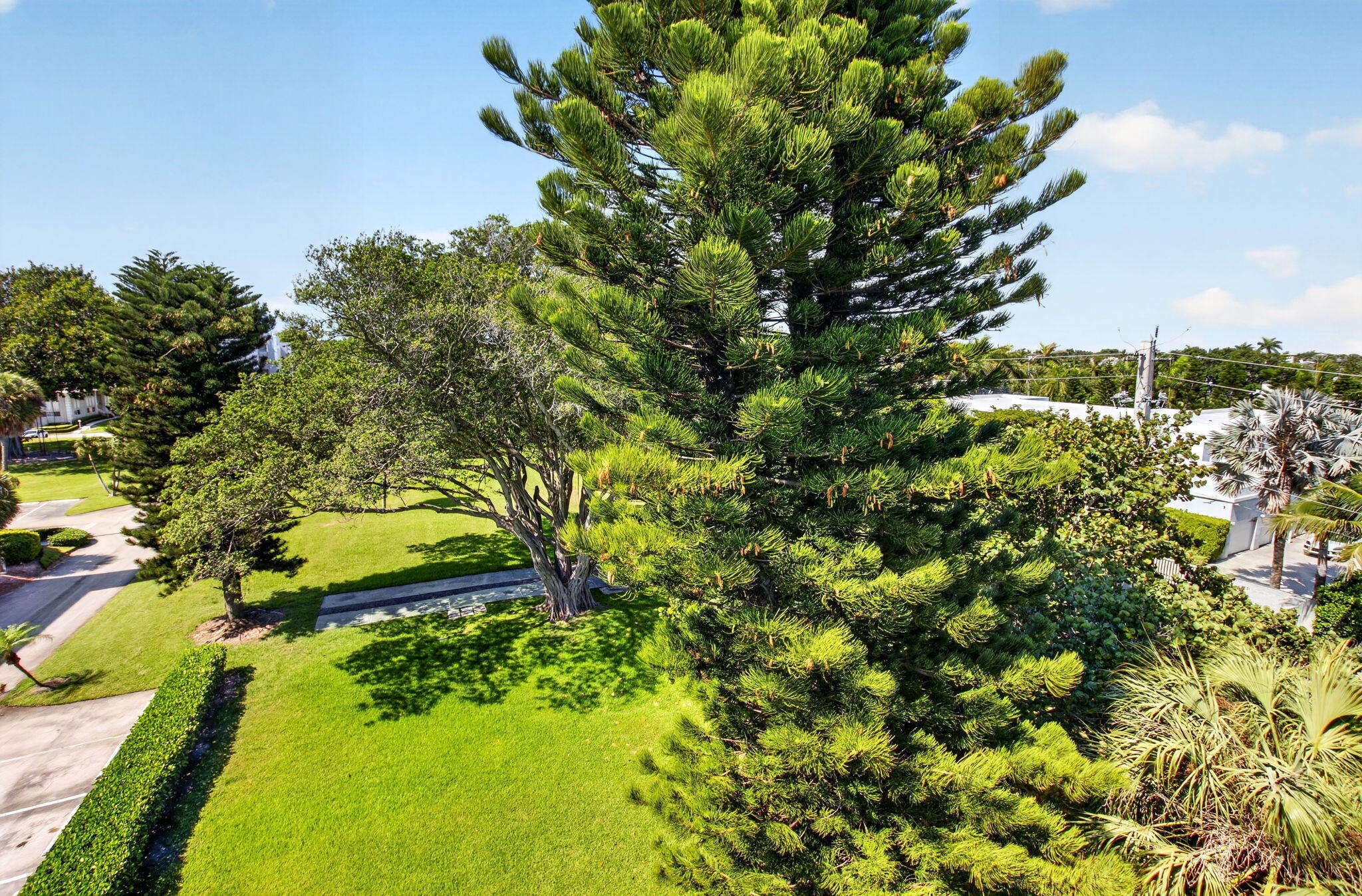 950 De Soto Road, Unit 5A Boca Raton, FL 33432 - Photo 52 of 98 51-web-or-mls-DSC_8466