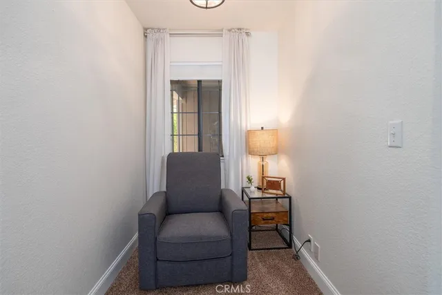 a view of a livingroom with furniture and a potted plant