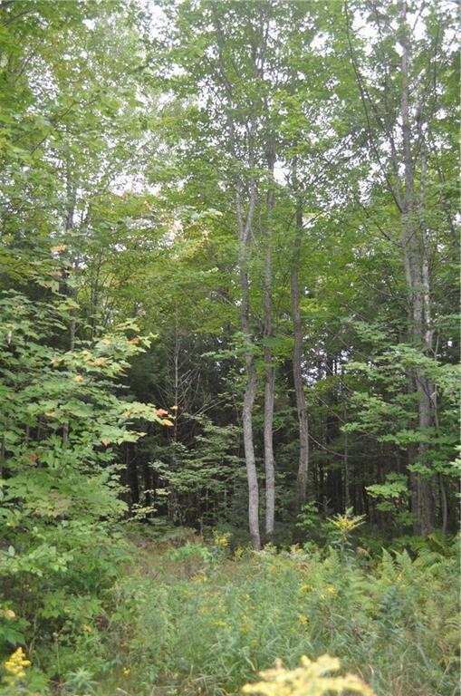 41 Town Road Lagrange, ME 04453 - Photo 23 of 23 Gorgeous Trees behind gravel pad
