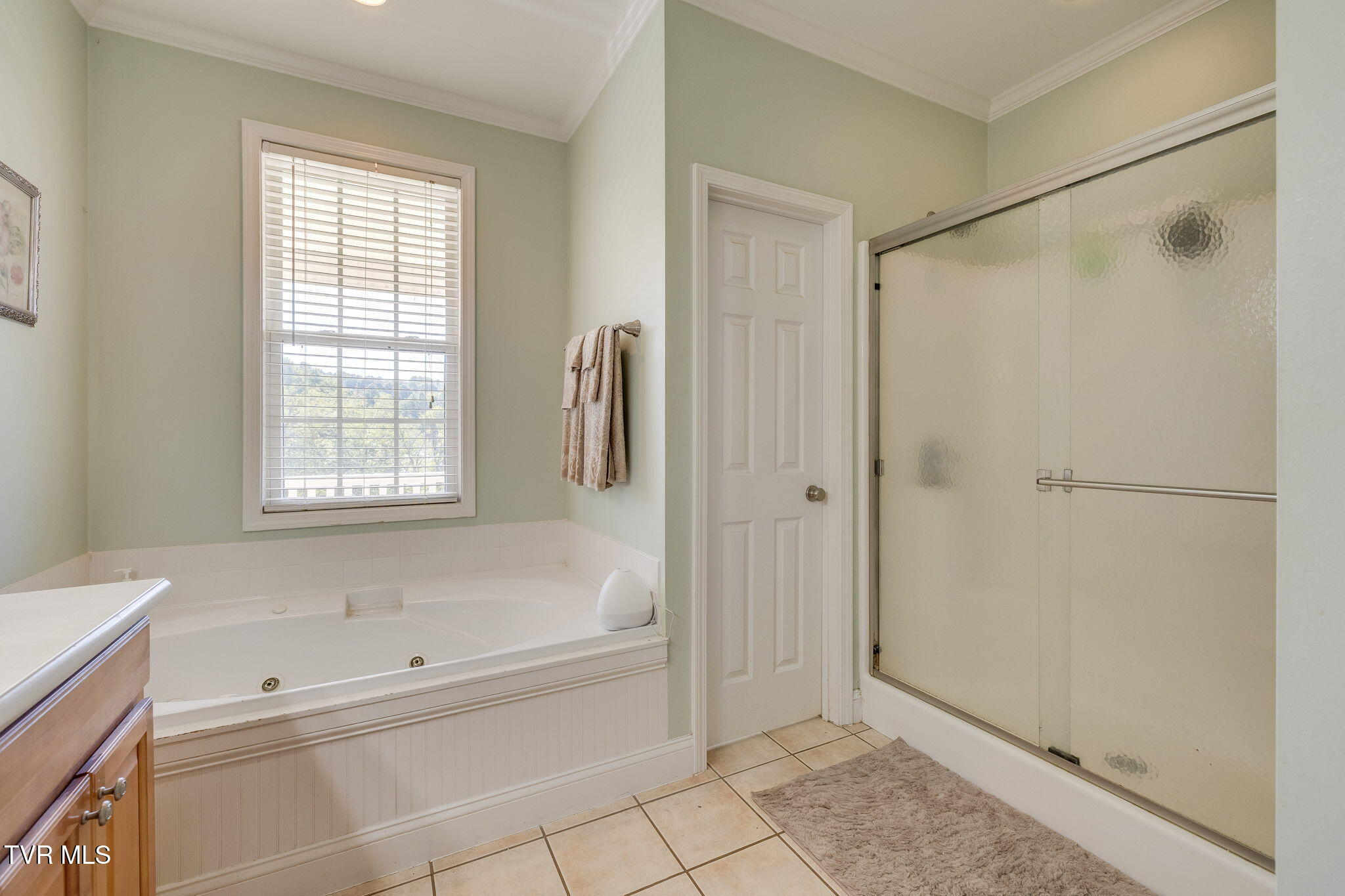 1238 Fordtown Road Jonesborough, TN 37659 - Photo 17 of 50 026