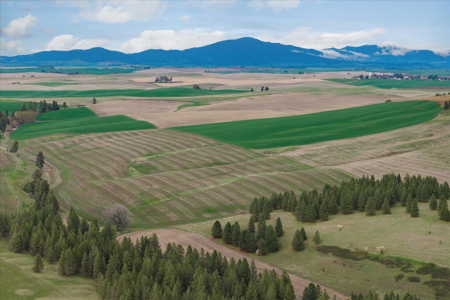 50 North Main Street Waverly, WA 99039 - Photo 33 of 35