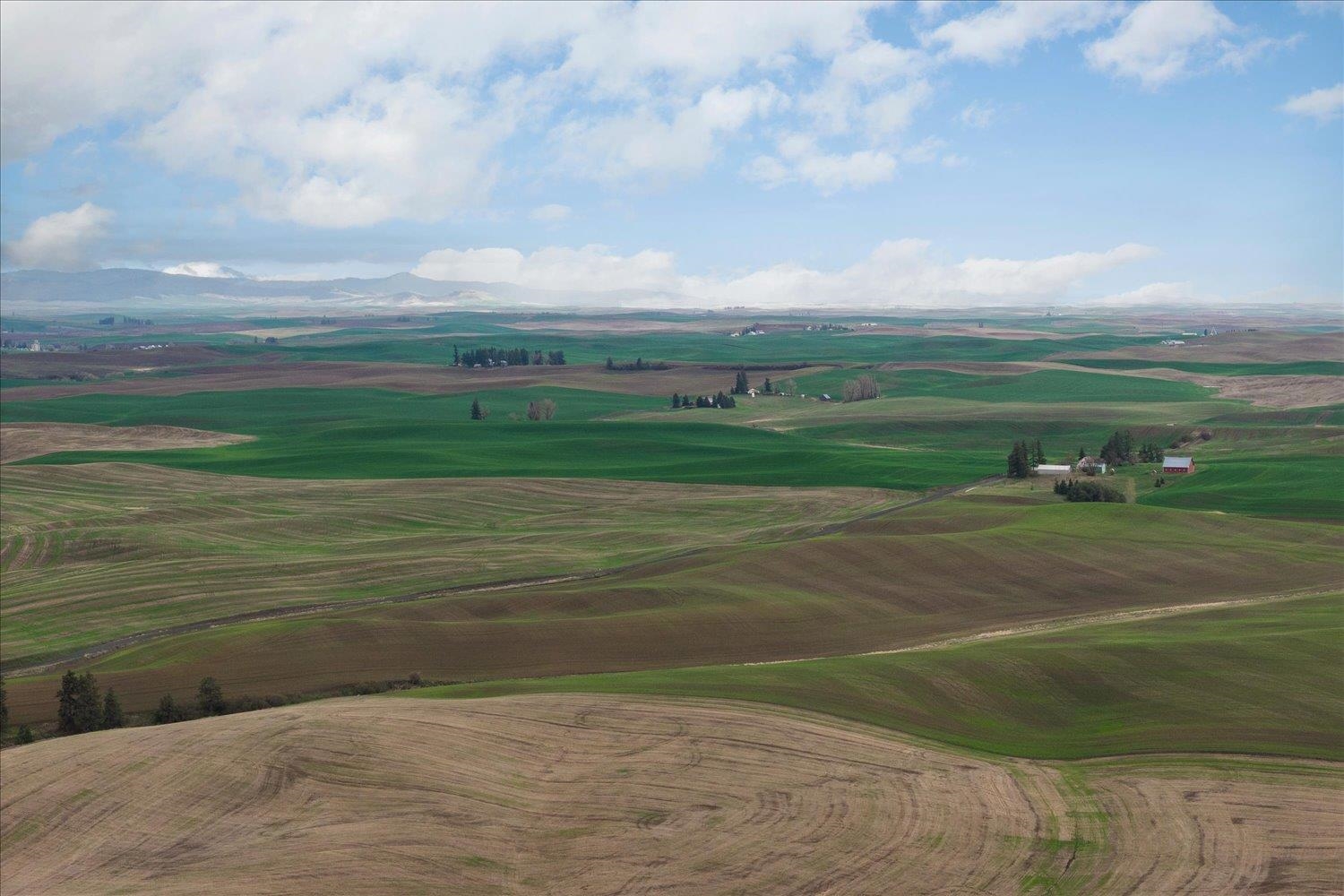 50 North Main Street Waverly, WA 99039 - Photo 34 of 35