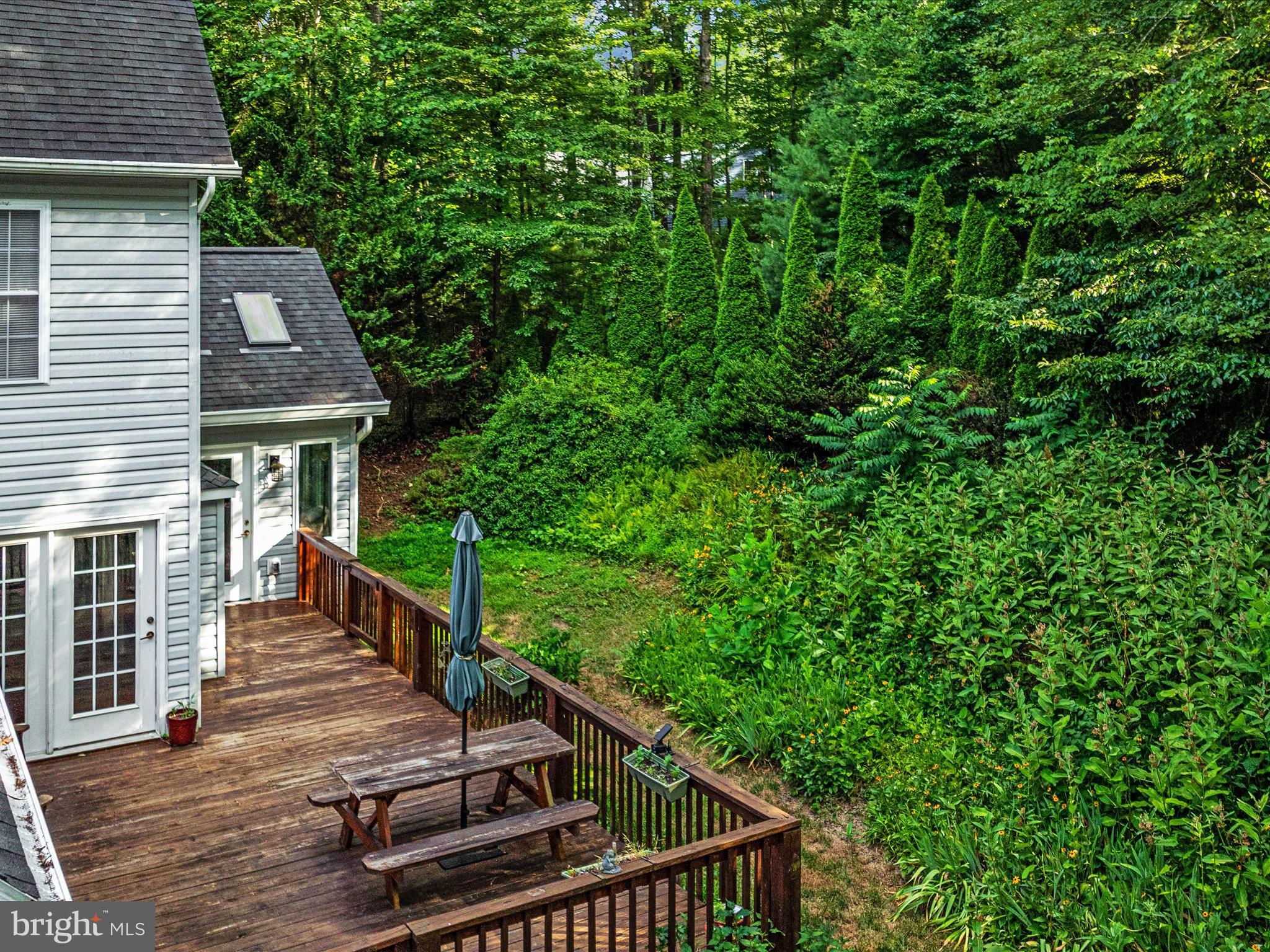 158 Redtail Court Basye, VA 22810 - Photo 25 of 79 DJI_0852_158 Redtail Ct- Absolute Altitude - 7 - 2