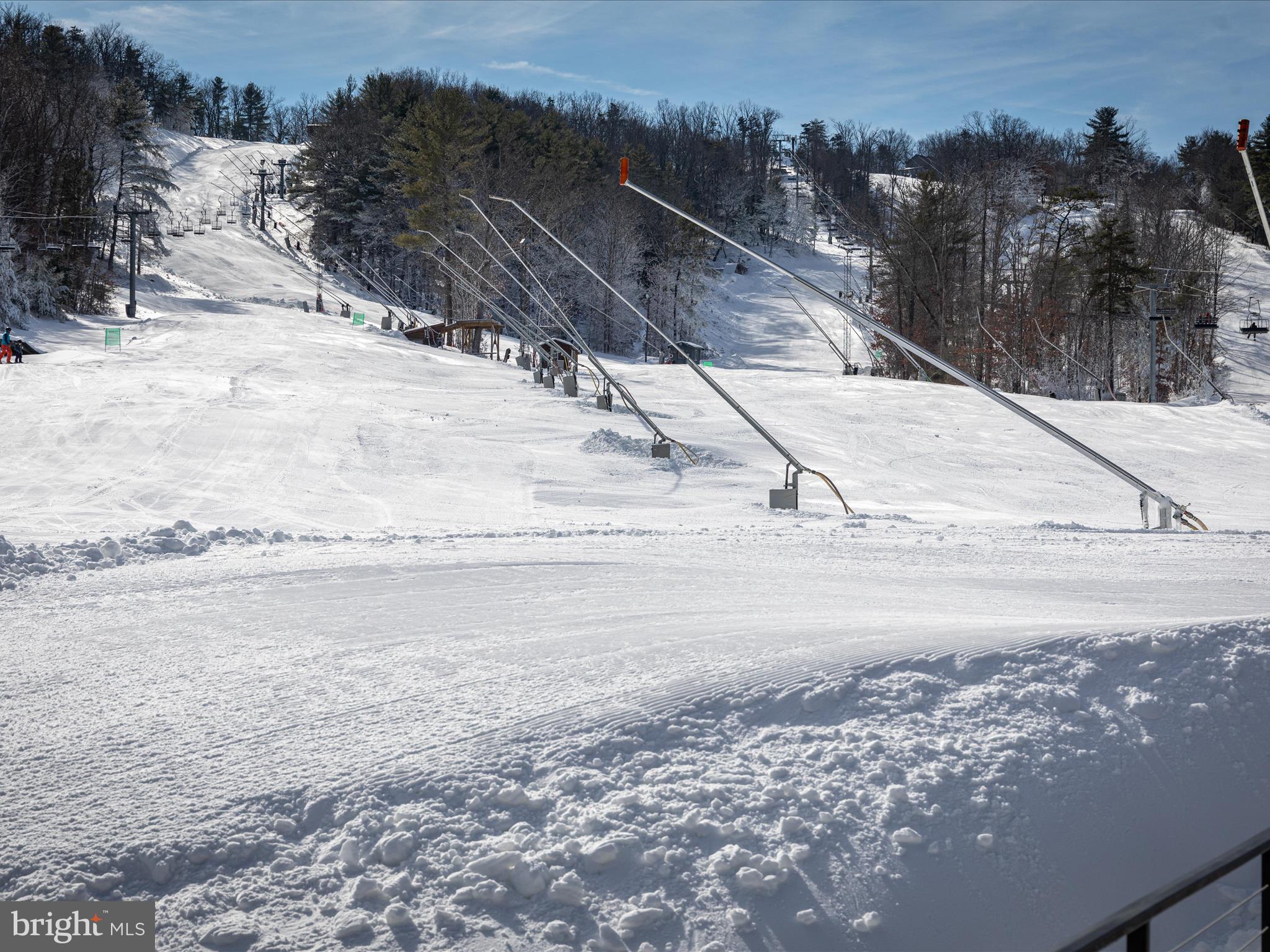 158 Redtail Court Basye, VA 22810 - Photo 31 of 79 Bryce Resort-14