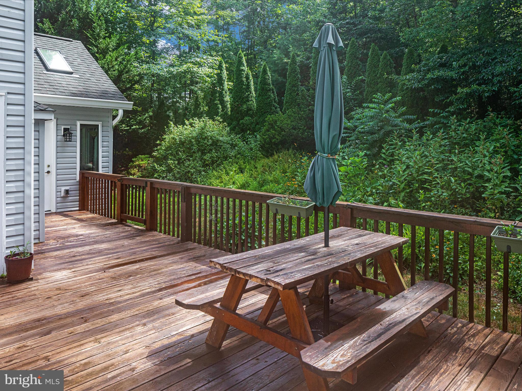 158 Redtail Court Basye, VA 22810 - Photo 41 of 79 BY1A0559_158 Redtail Ct- Absolute Altitude - 7 - 2