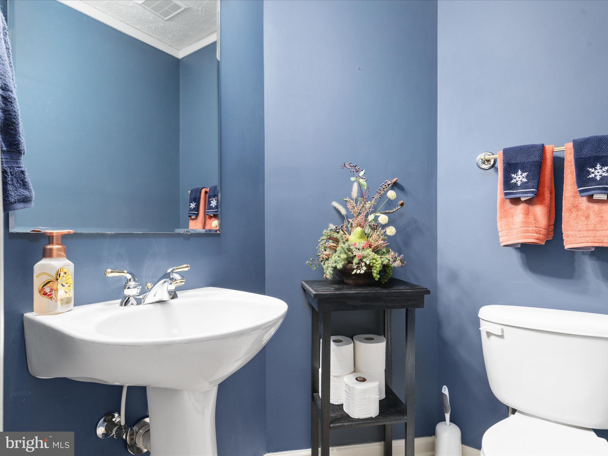 158 Redtail Court Basye, VA 22810 - Photo 10 of 79 BY1A0517_158 Redtail Ct- Absolute Altitude - 7 - 2